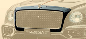 Окантовка решетки радиатора (карбон) Mansory для Bentley Flying Spur 2020 2021 FS2 102 331