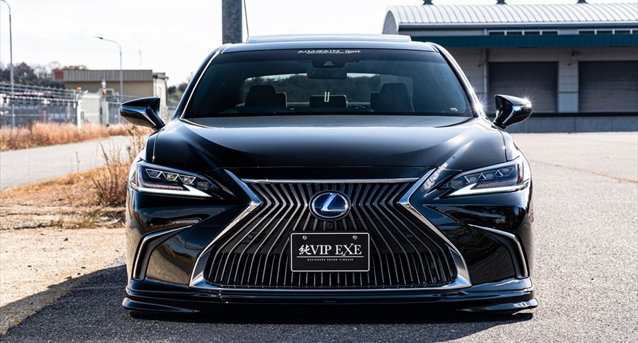 Обвес Aimgain VIP для Lexus ES250 ES350 2019 2020 купить