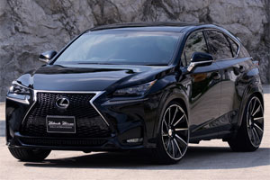 Аэродинамический обвес WALD Lexus NX200t NX300h. Тюнинг Lexus NX200t NX300h