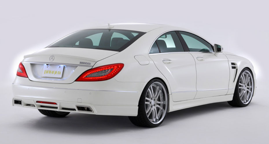 Аэродинамический обвес Branew для Mercedes CLS-class (C218)