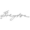 Логотип Breyton